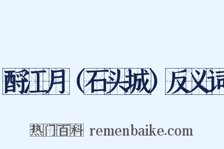 酹江月（石头城）反义词是什么意思的图片